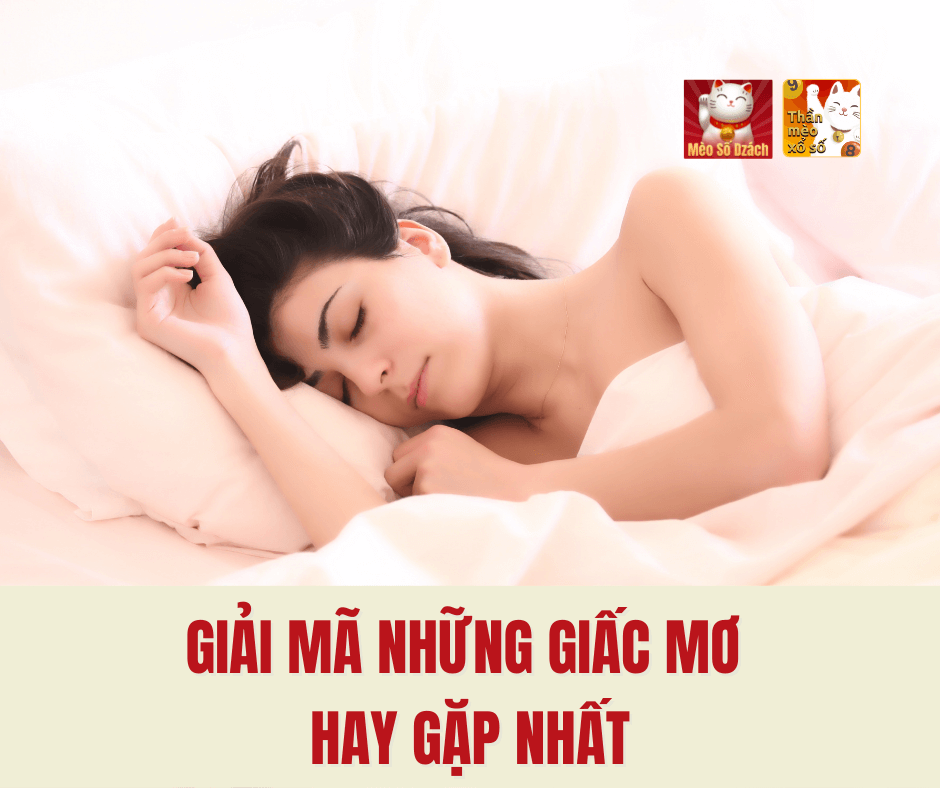 Giải mã những giấc mơ hay gặp nhất!