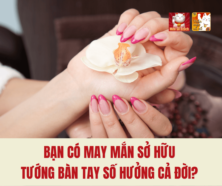 Bạn có may mắn sở hữu tướng bàn tay số hưởng cả đời?