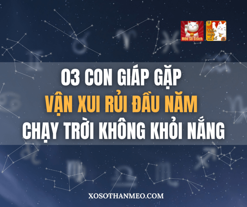 03 con giáp gặp vận xui rủi đầu năm, chạy trời không khỏi nắng