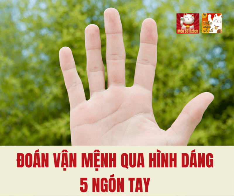 Đoán vận mệnh qua hình dáng 5 ngón tay