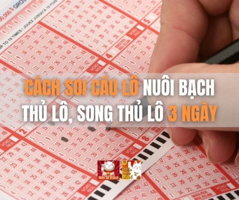 Cách soi cầu lô nuôi bạch thủ lô, song thủ lô 3 ngày