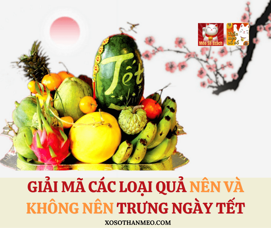 Giải mã các loại quả nên và không nên trưng ngày Tết