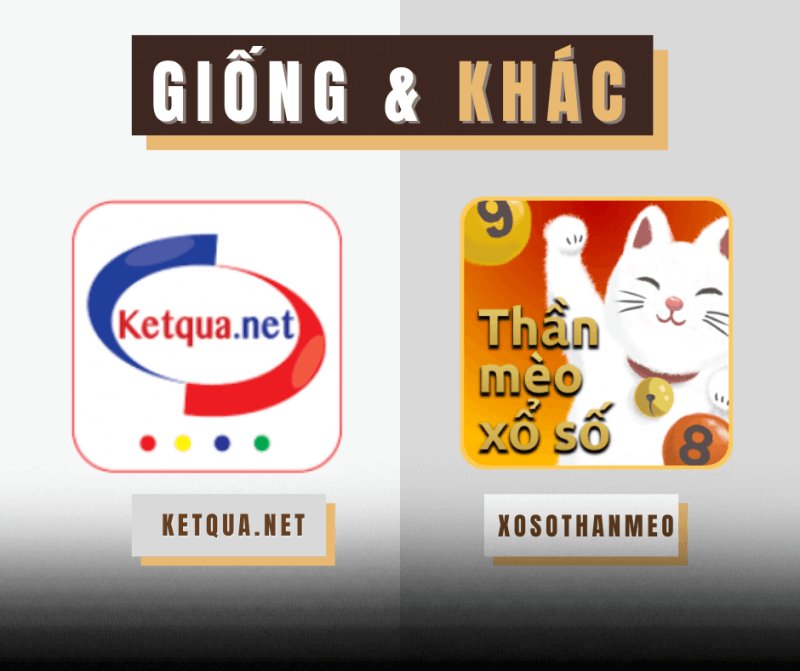Ketqua.net là trang xổ số hàng đầu Việt Nam? Khác gì với xosothanmeo?