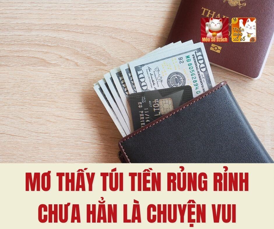 Mơ thấy túi tiền rủng rỉnh chưa hẳn là chuyện vui