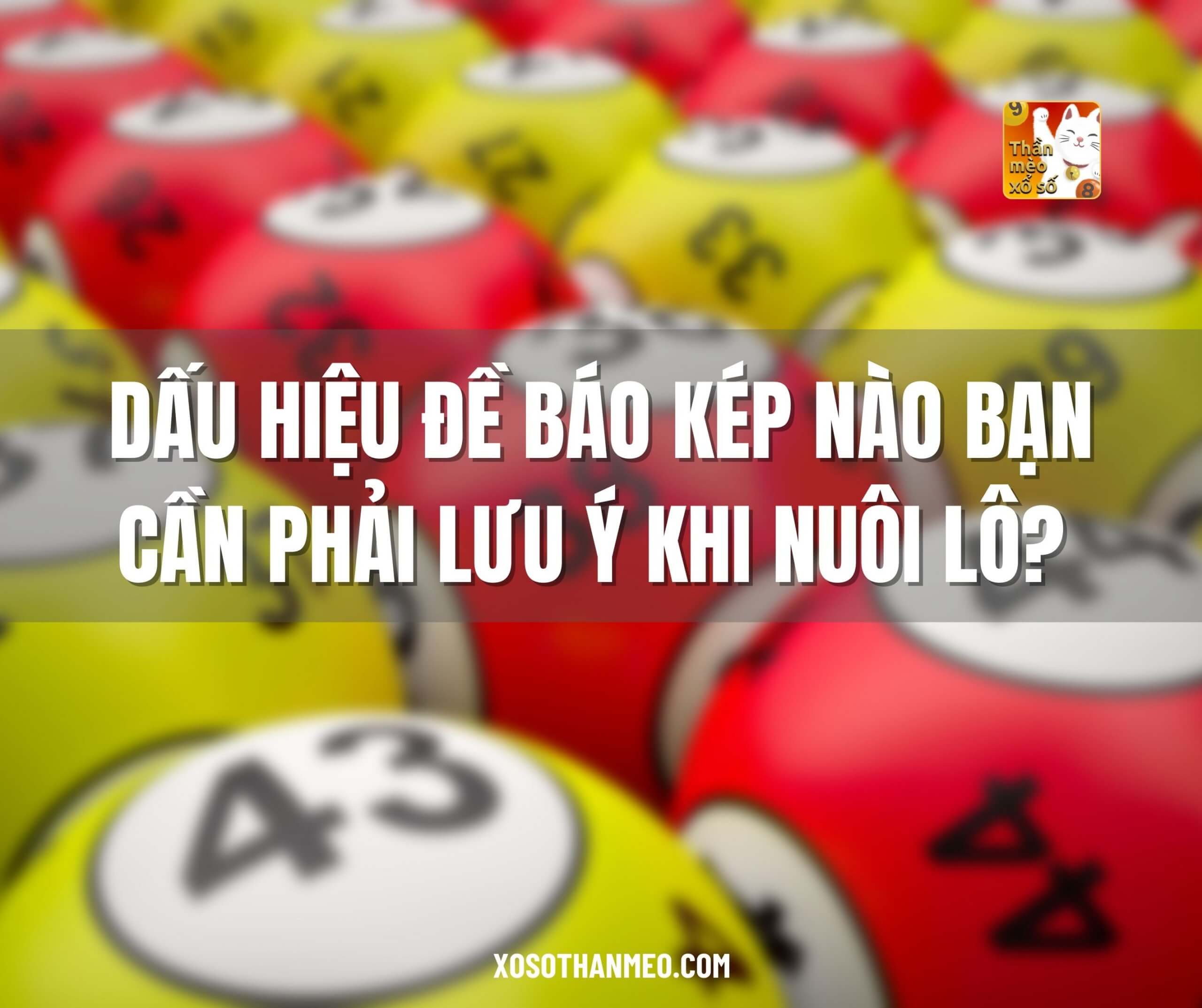 Dấu hiệu đề báo kép nào bạn cần phải lưu ý khi nuôi lô?