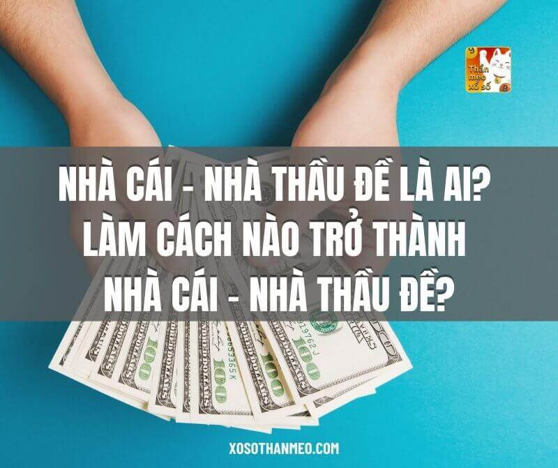 Nhà cái/ nhà thầu là ai?