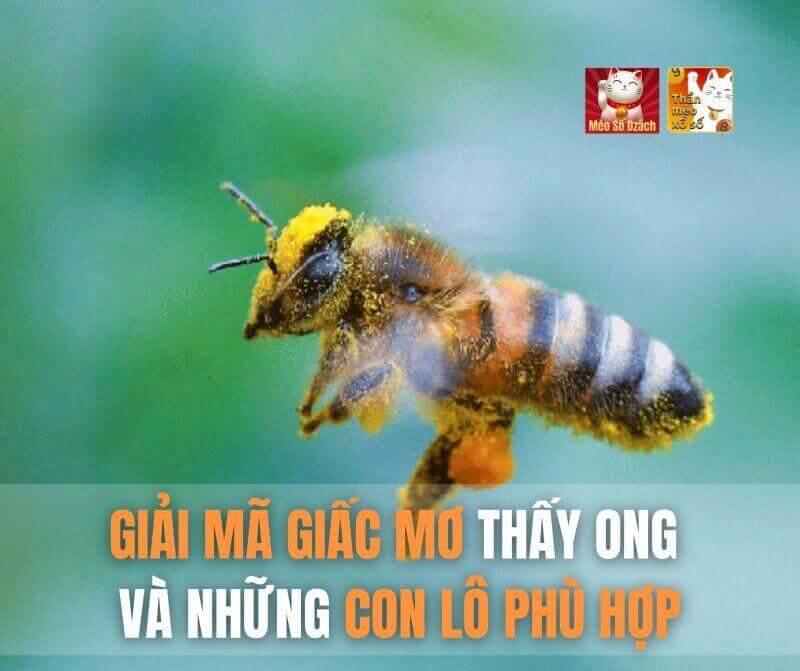 Giải mã giấc mơ thấy ong và những con lô phù hợp