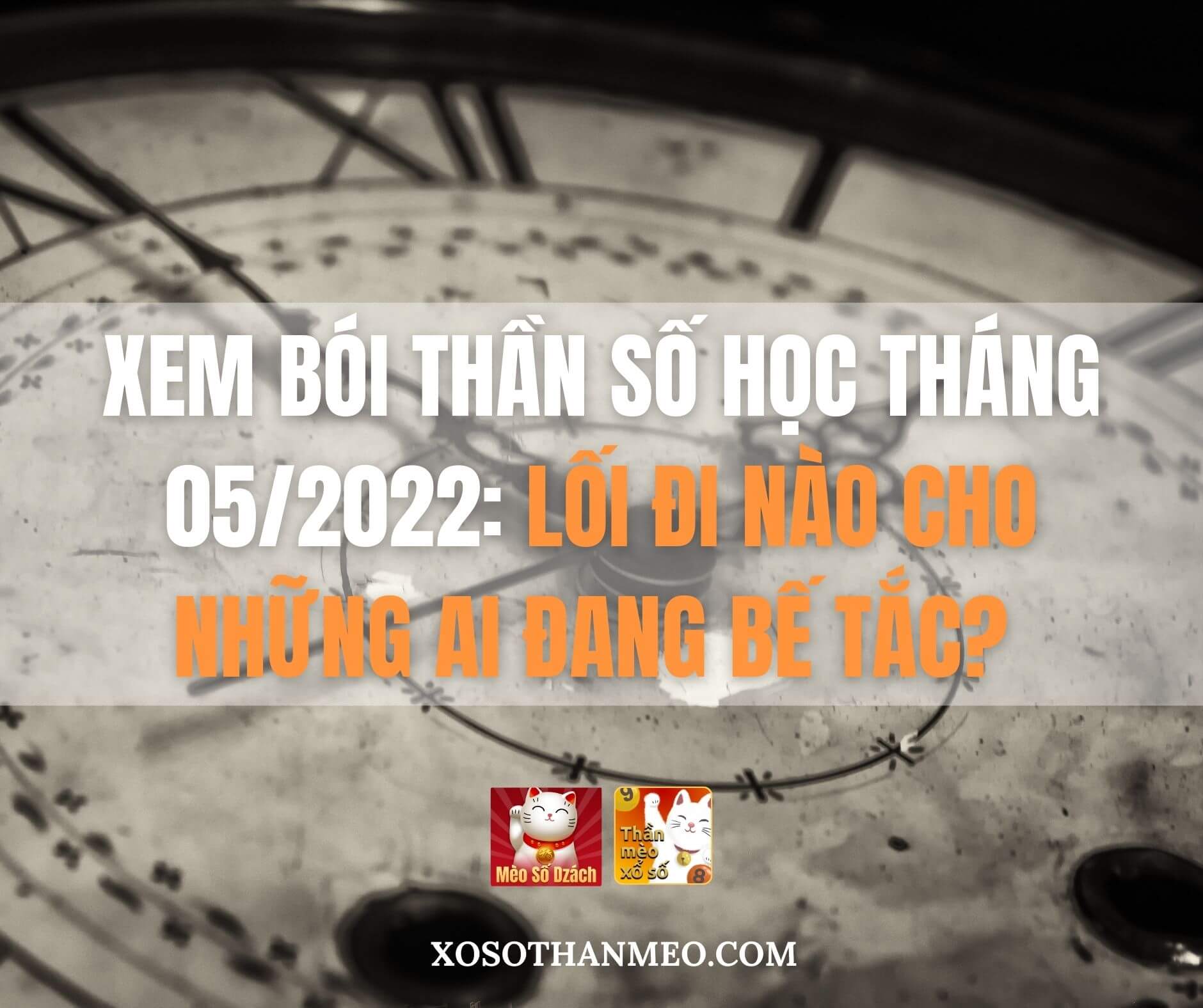 Xem bói thần số học tháng 05/2022: Lối đi nào cho những ai đang bế tắc?