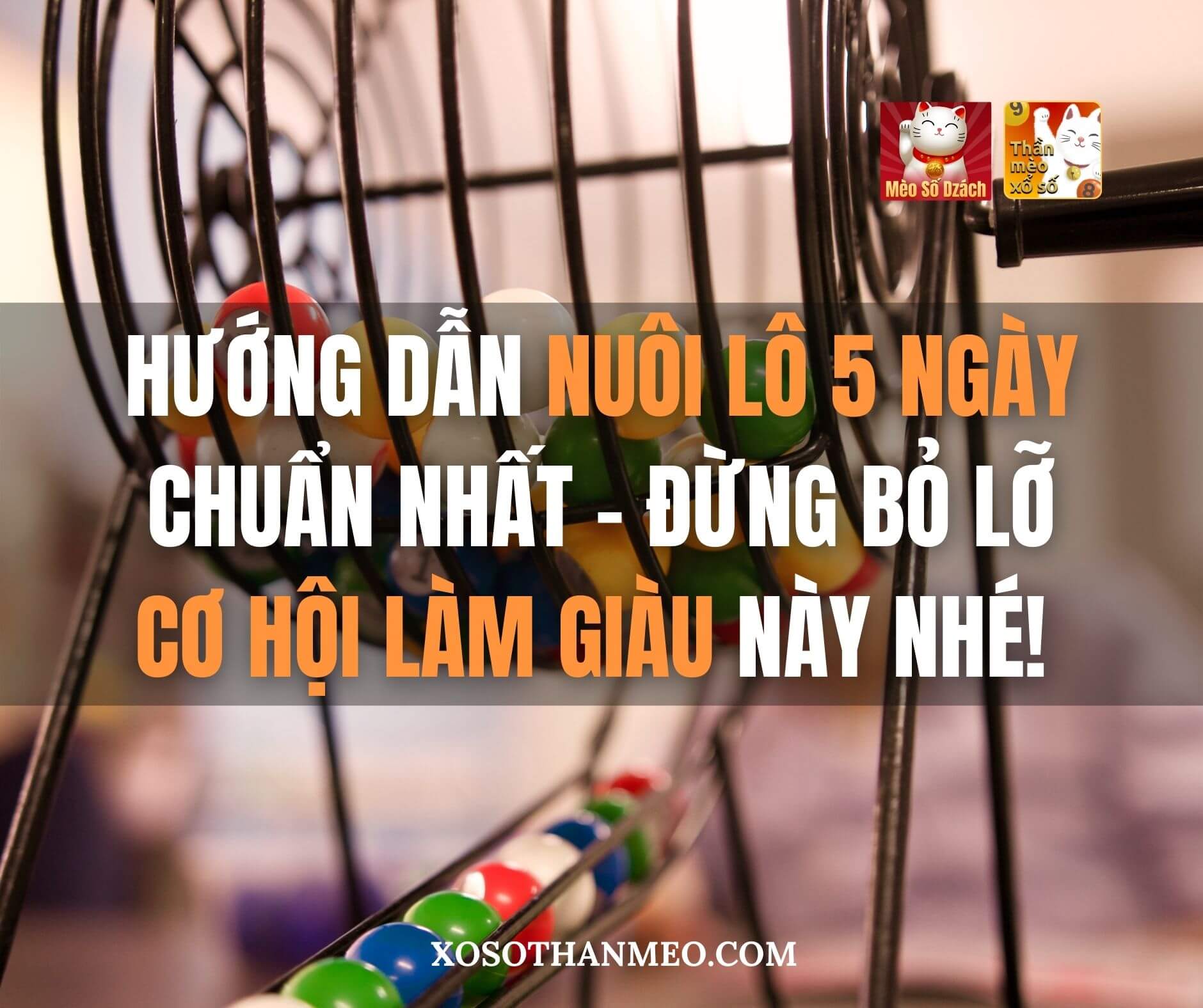 Hướng dẫn nuôi lô 5 ngày chuẩn nhất! Đừng bỏ lỡ cơ hội làm giàu này nhé!