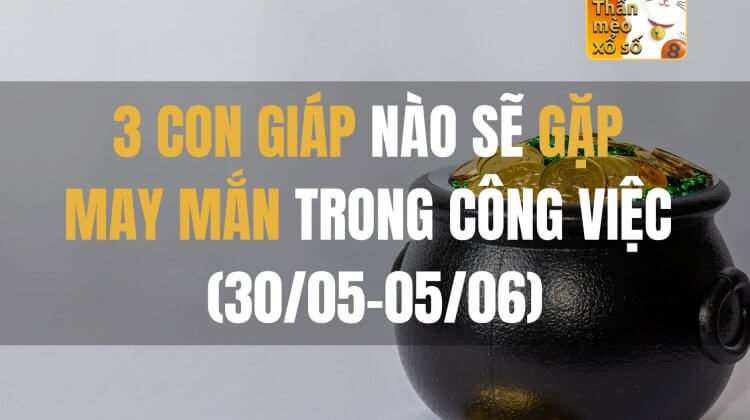 3 con giáp nào sẽ gặp may mắn trong công việc (30/05-05/06)