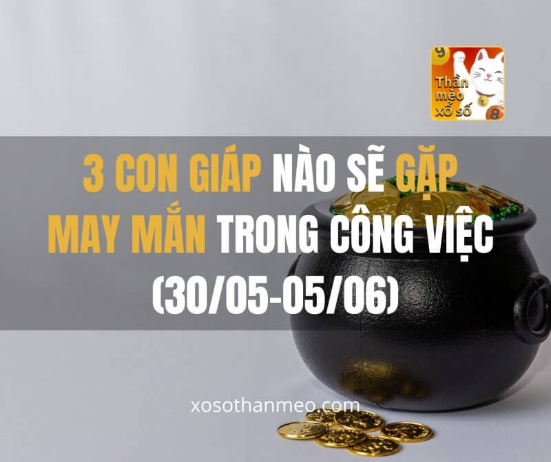 3 con giáp nào sẽ gặp may mắn trong công việc (30/05-05/06)