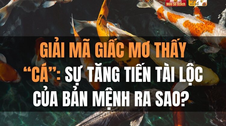 Giải mã giấc mơ thấy “Cá”: sự tăng tiến tài lộc của bản mệnh ra sao?