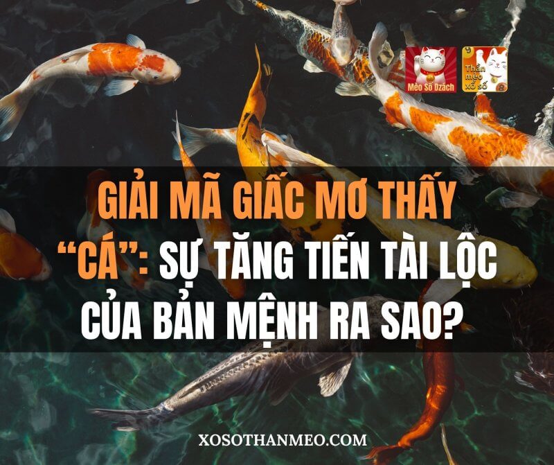 Giải mã giấc mơ thấy “Cá”: sự tăng tiến tài lộc của bản mệnh ra sao?