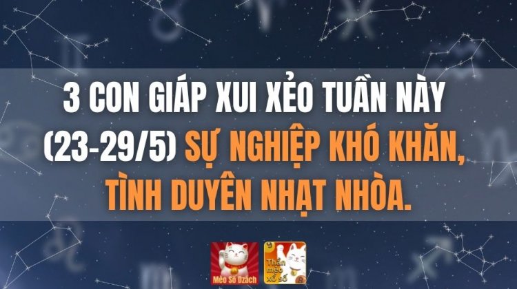 3 con giáp xui xẻo tuần này (23-29/5) sự nghiệp khó khăn, tình duyên nhạt nhòa