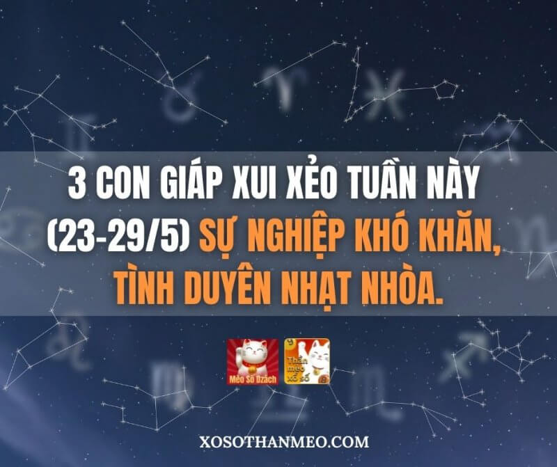 3 con giáp xui xẻo tuần này (23-29/5) sự nghiệp khó khăn, tình duyên nhạt nhòa