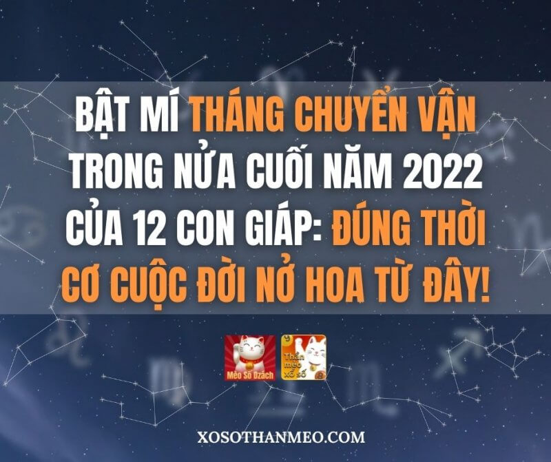 Bật mí tháng chuyển vận trong nửa cuối năm 2022 của 12 con giáp