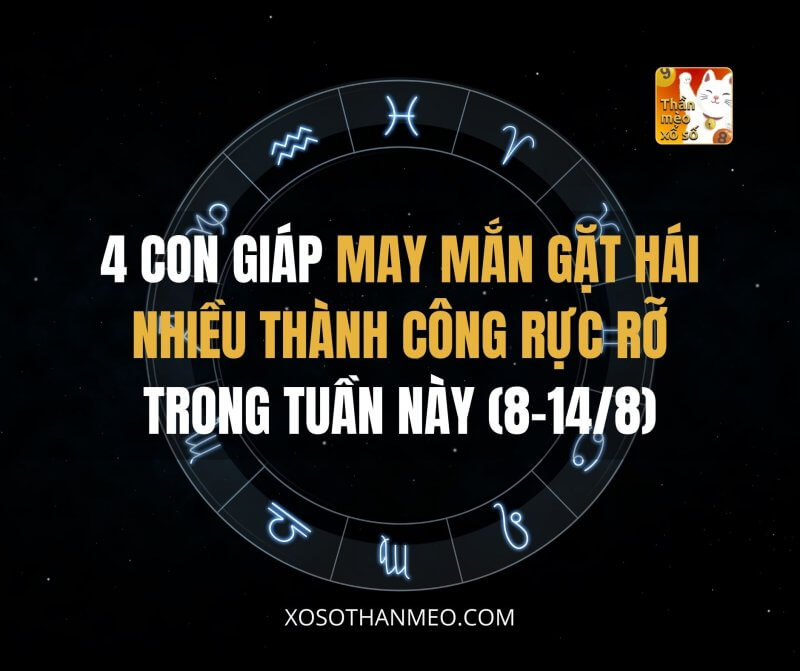 4 con giáp may mắn gặt hái nhiều thành công rực rỡ trong tuần này (8-14/8)