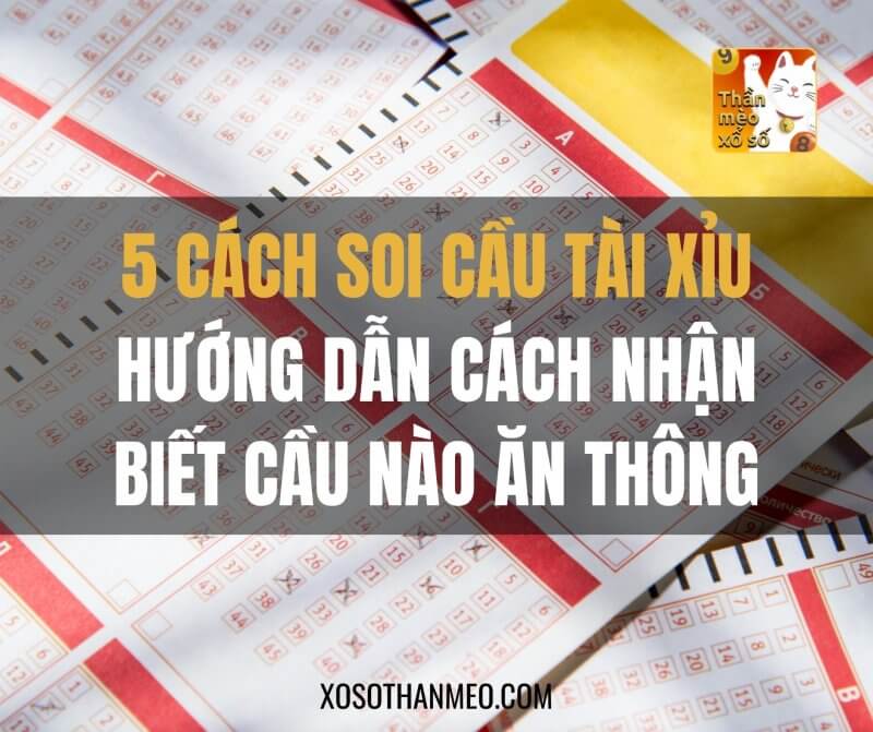 5 Cách soi cầu tài xỉu | Hướng dẫn cách nhận biết cầu nào ăn thông