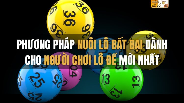 Phương pháp nuôi lô bất bại dành cho người chơi lô đề mới nhất