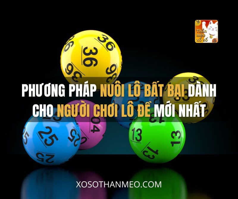 Phương pháp nuôi lô bất bại dành cho người chơi lô đề mới nhất