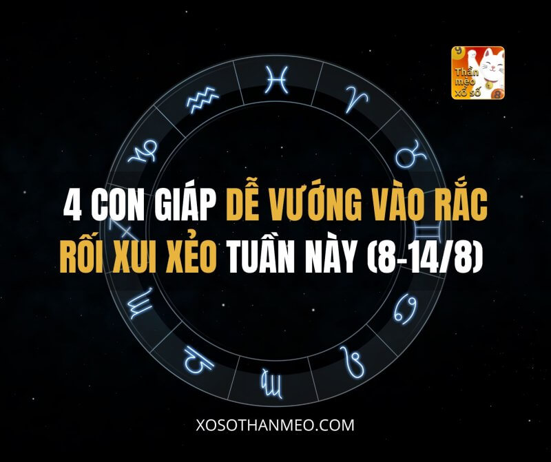 4 con giáp dễ vướng vào rắc rối xui xẻo tuần này (8-14/8)