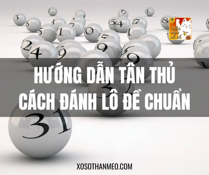 Hướng Dẫn Tân Thủ Cách Đánh Lô Đề Chuẩn