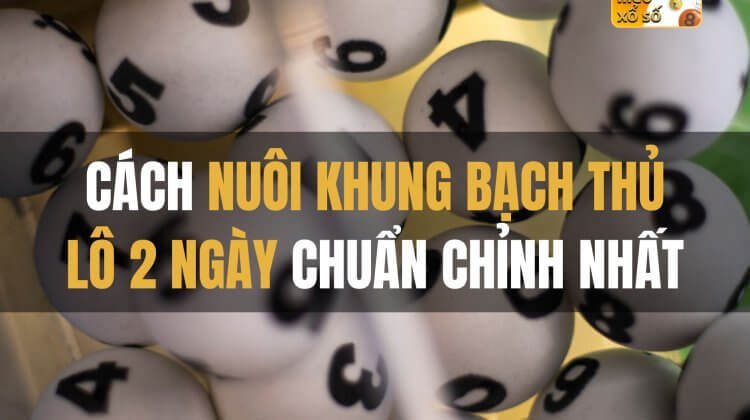 Cách nuôi khung bạch thủ lô 2 ngày chuẩn chỉnh nhất