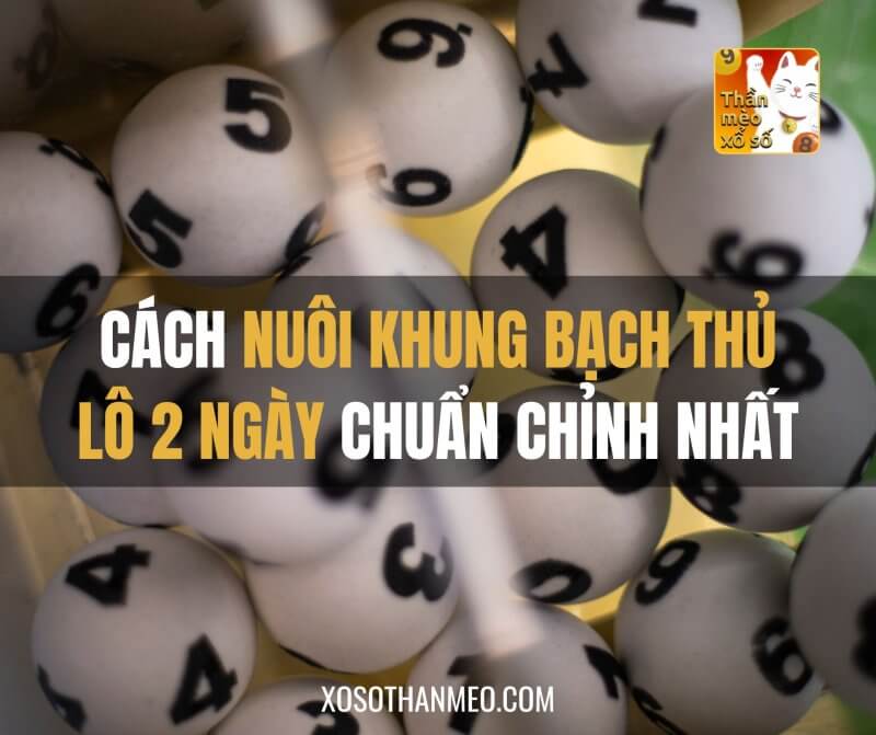 Cách nuôi khung bạch thủ lô 2 ngày chuẩn chỉnh nhất