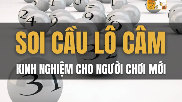 Soi cầu lô câm: kinh nghiệm hay cho người chơi