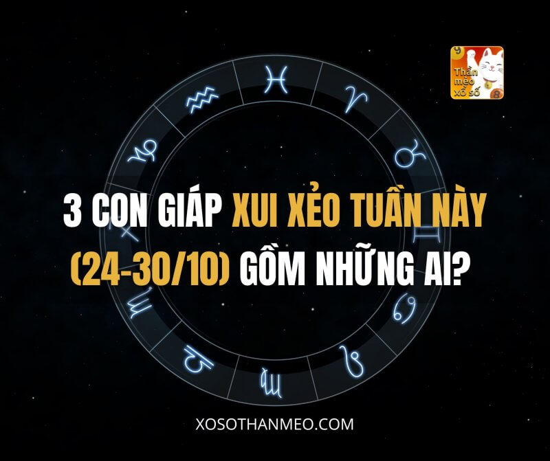 3 con giáp xui xẻo tuần này (24-30/10) gồm những ai?