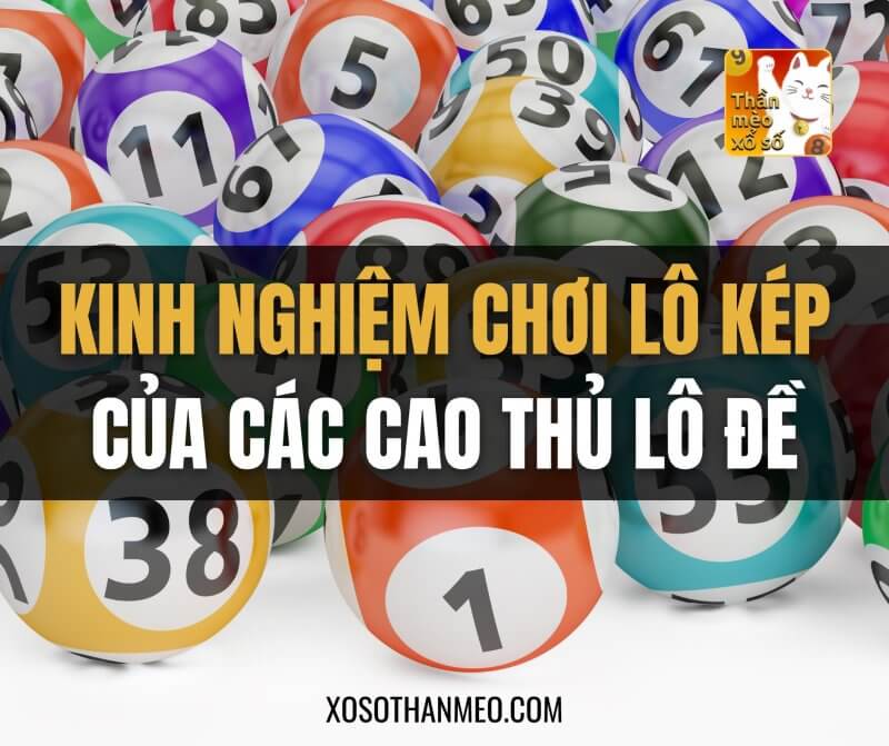 Dự đoán xổ số miền bắc: kinh nghiệm chơi lô kép của các cao thủ lô đề