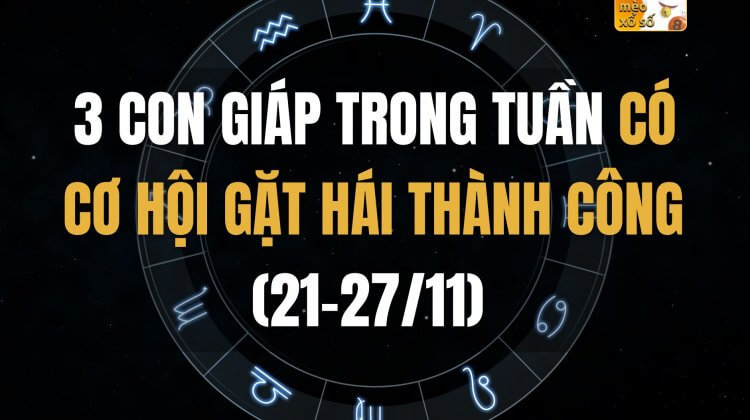 3 con giáp có cơ hội gặt hái thành công trong tuần (21-27/11)