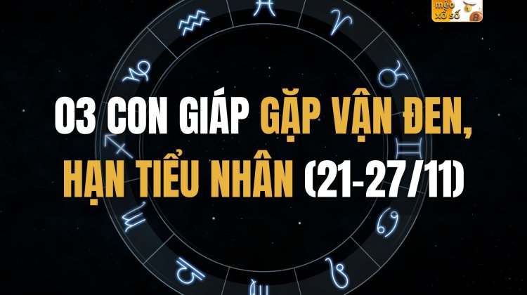 03 con giáp gặp vận đen, gặp hạn tiểu nhân (21-27/11)