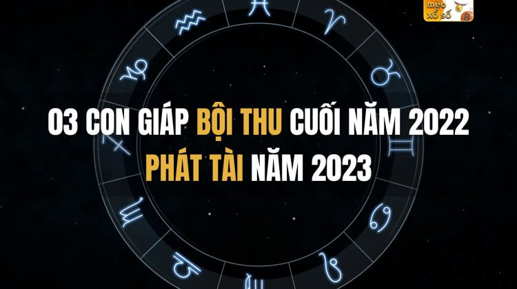 03 con giáp bội thu cuối năm 2022, phát tài năm 2023