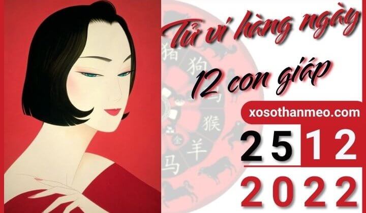 Tử vi hàng ngày - Xem tử vi 12 con giáp ngày 25/12/2022