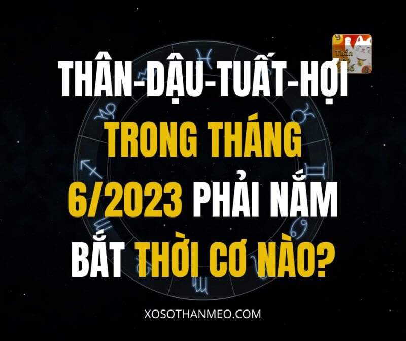 Tuổi Thân, Tuổi Dậu, Tuổi Tuất, Tuổi Hợi trong tháng 6/2023 phải nắm bắt thời cơ nào?