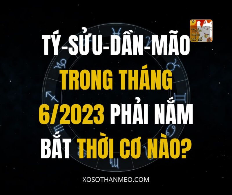 Tuổi tý, Tuổi Sửu, Tuổi Dần, Tuổi Mão trong tháng 6/2023 phải nắm bắt thời cơ nào?