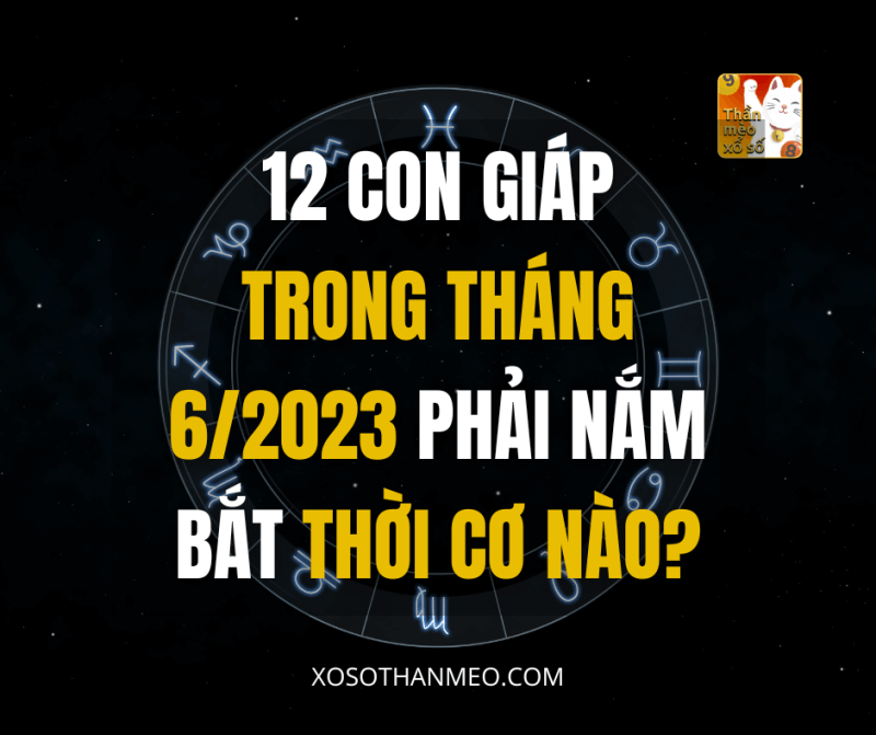 12 con giáp trong tháng 6/2023 phải nắm bắt thời cơ nào?