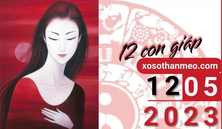 Tử vi hàng ngày - Xem tử vi 12 con giáp ngày 12/05/2023