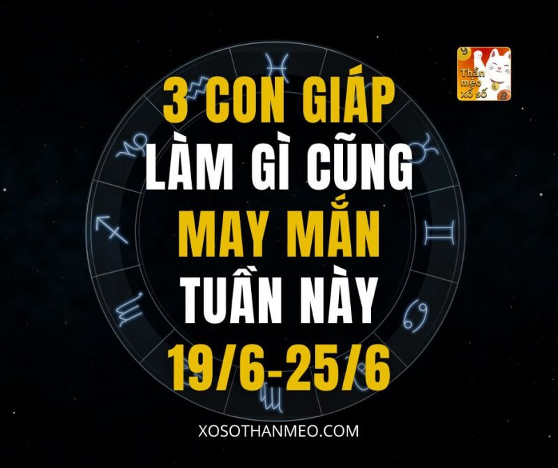 3 con giáp làm gì cũng may mắn tuần này 19-25/6