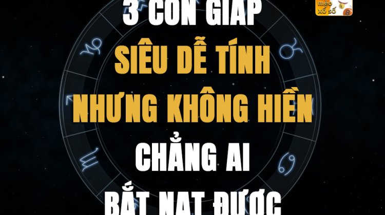 3 con giáp siêu dễ tính nhưng không hiền, chẳng ai bắt nạt được