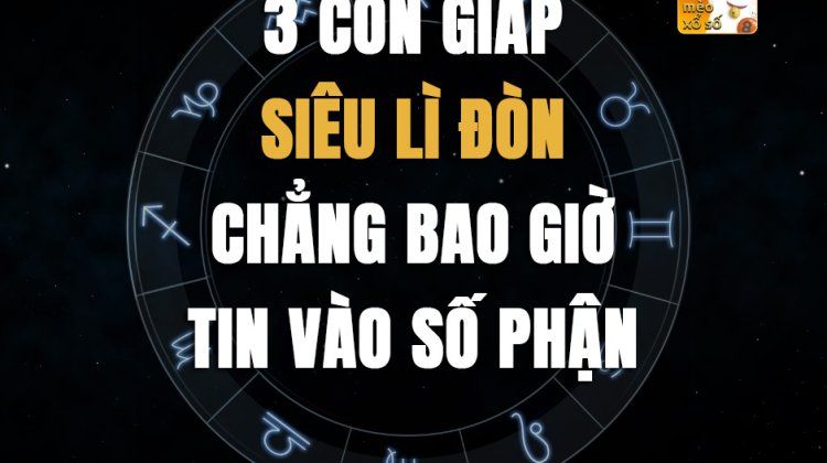 3 con giáp siêu lì đòn, chẳng bao giờ tin vào số phận