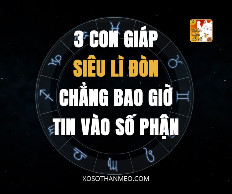 3 con giáp siêu lì đòn, chẳng bao giờ tin vào số phận