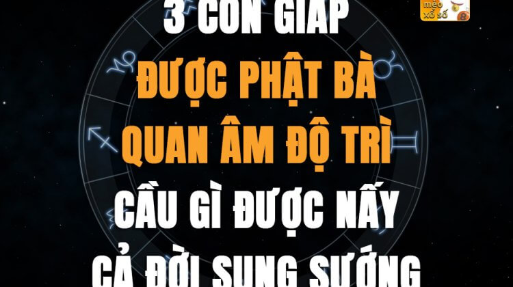 3 con giáp được Phật Bà Quan Âm độ trì, cầu gì được nấy, cả đời sung sướng