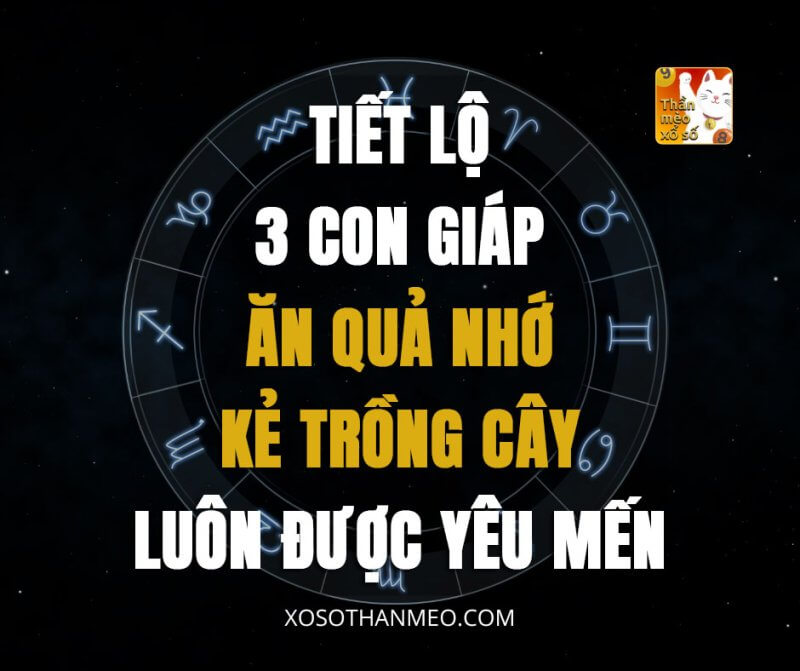 Tiết lộ 3 con giáp ăn quả nhớ kẻ trồng cây, luôn được yêu mến