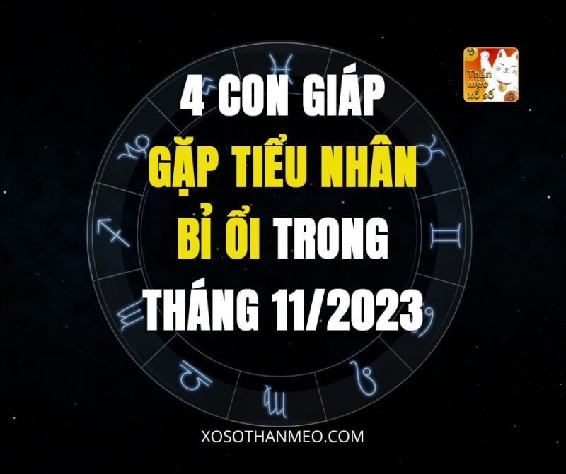 4 con giáp gặp tiểu nhân bỉ ổi trong tháng 11/2023