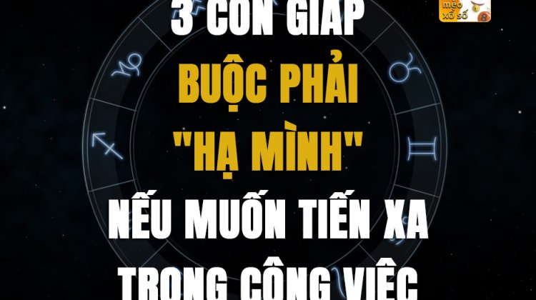 3 con giáp buộc phải "hạ mình" nếu muốn tiến xa trong công việc