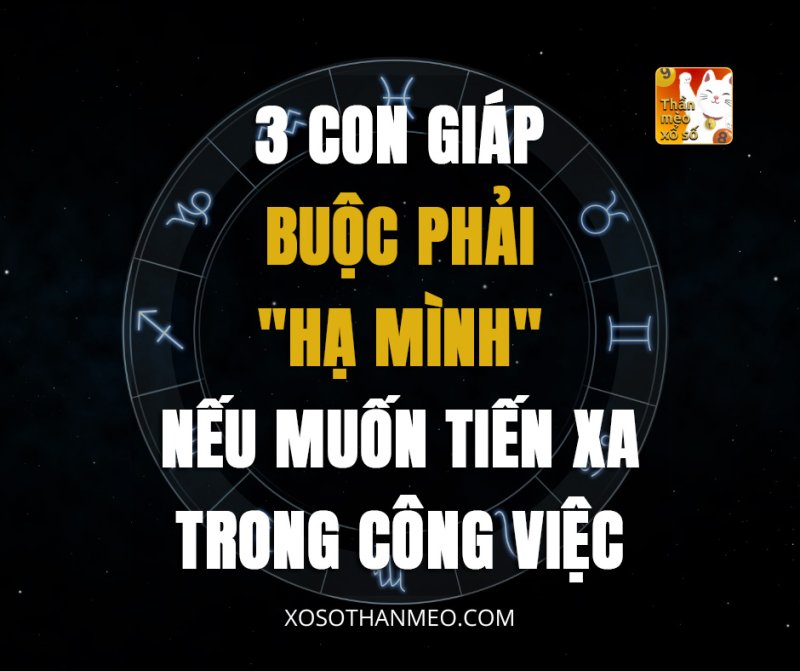 3 con giáp buộc phải 