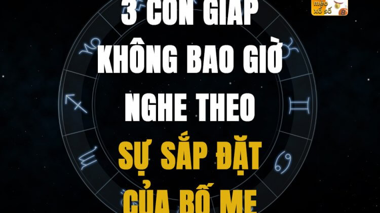 3 con giáp không bao giờ nghe theo sự sắp đặt của bố mẹ