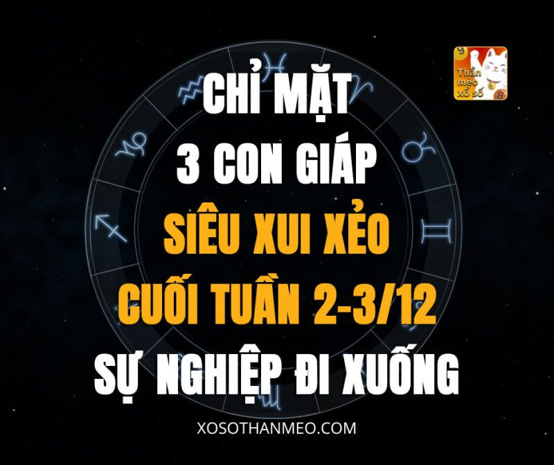 Chỉ mặt 3 con giáp siêu xui xẻo cuối tuần 2-3/12, sự nghiệp đi xuống